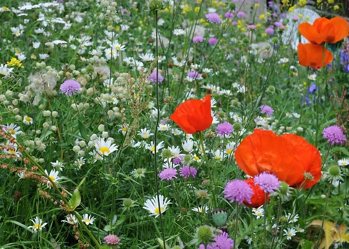 Haus Sonnheim Апартаменты Церматт