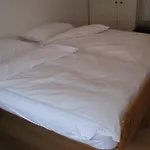 ハウス　ソンヘイム アパート ツェルマット